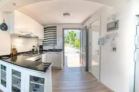 Joya Cyprus Stargazer Garden *