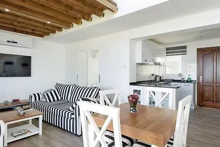 Joya Cyprus Stargazer Garden *