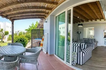 Joya Cyprus Stargazer Garden